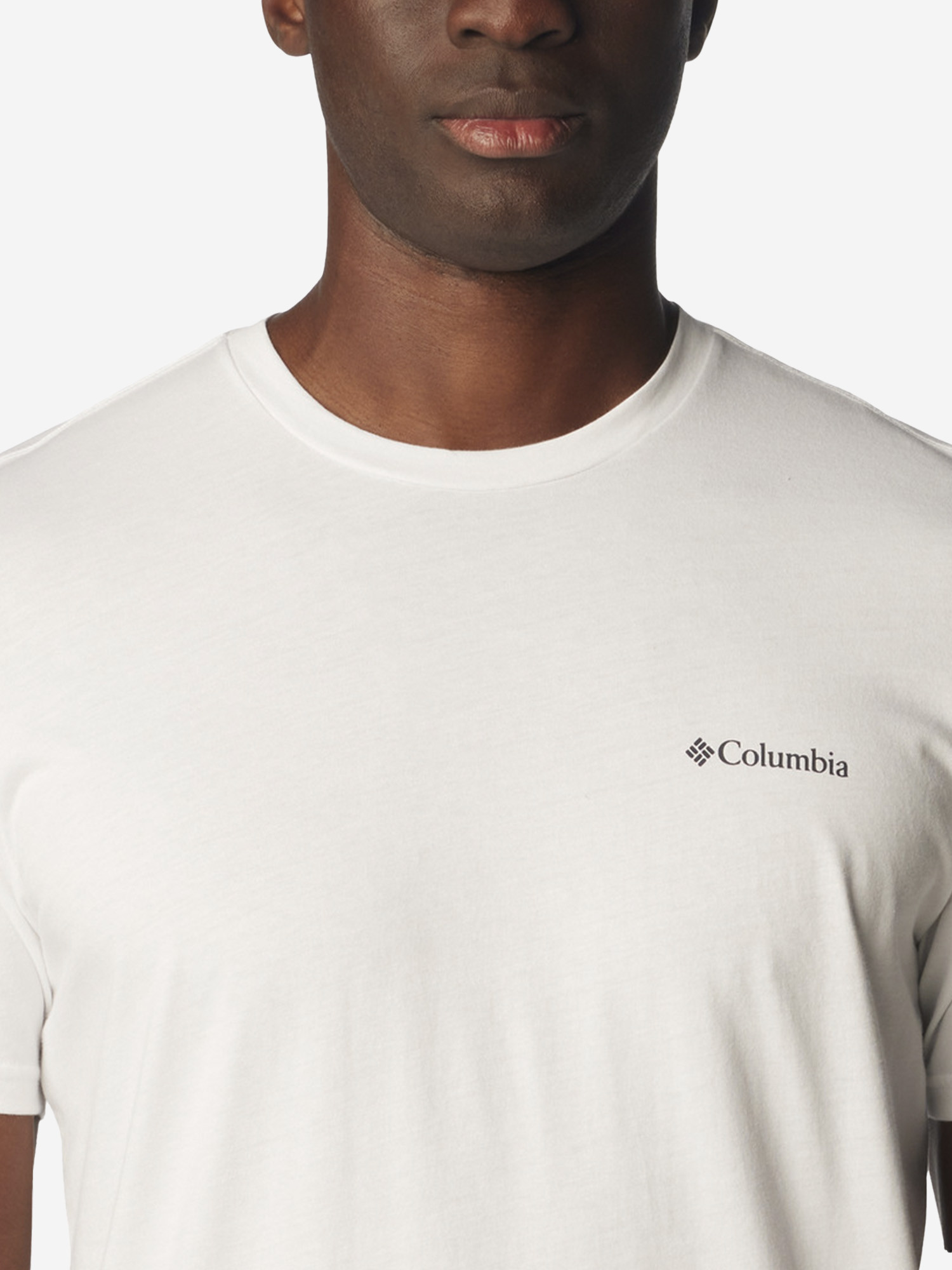 Футболка чоловіча Columbia Rapid Ridge™ Back Graphic Tee II