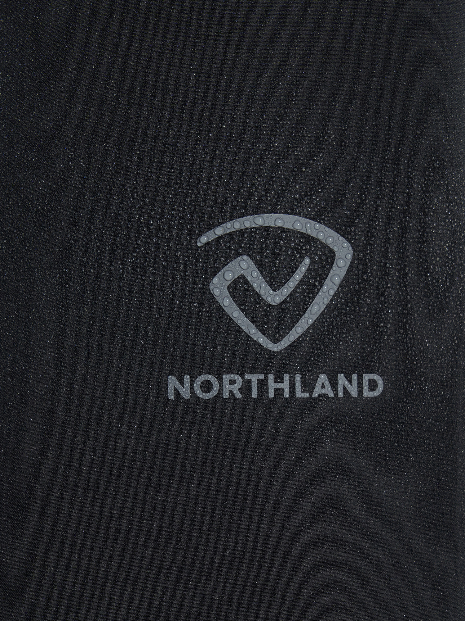 Штани чоловічі Northland