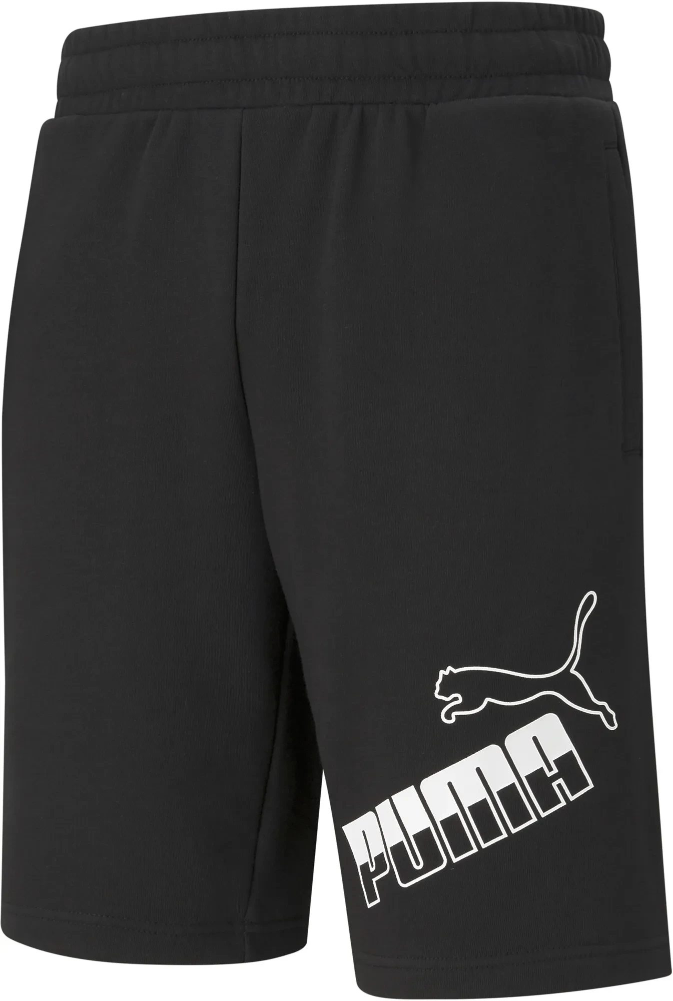 Шорты мужские PUMA BIG LOGO Shorts