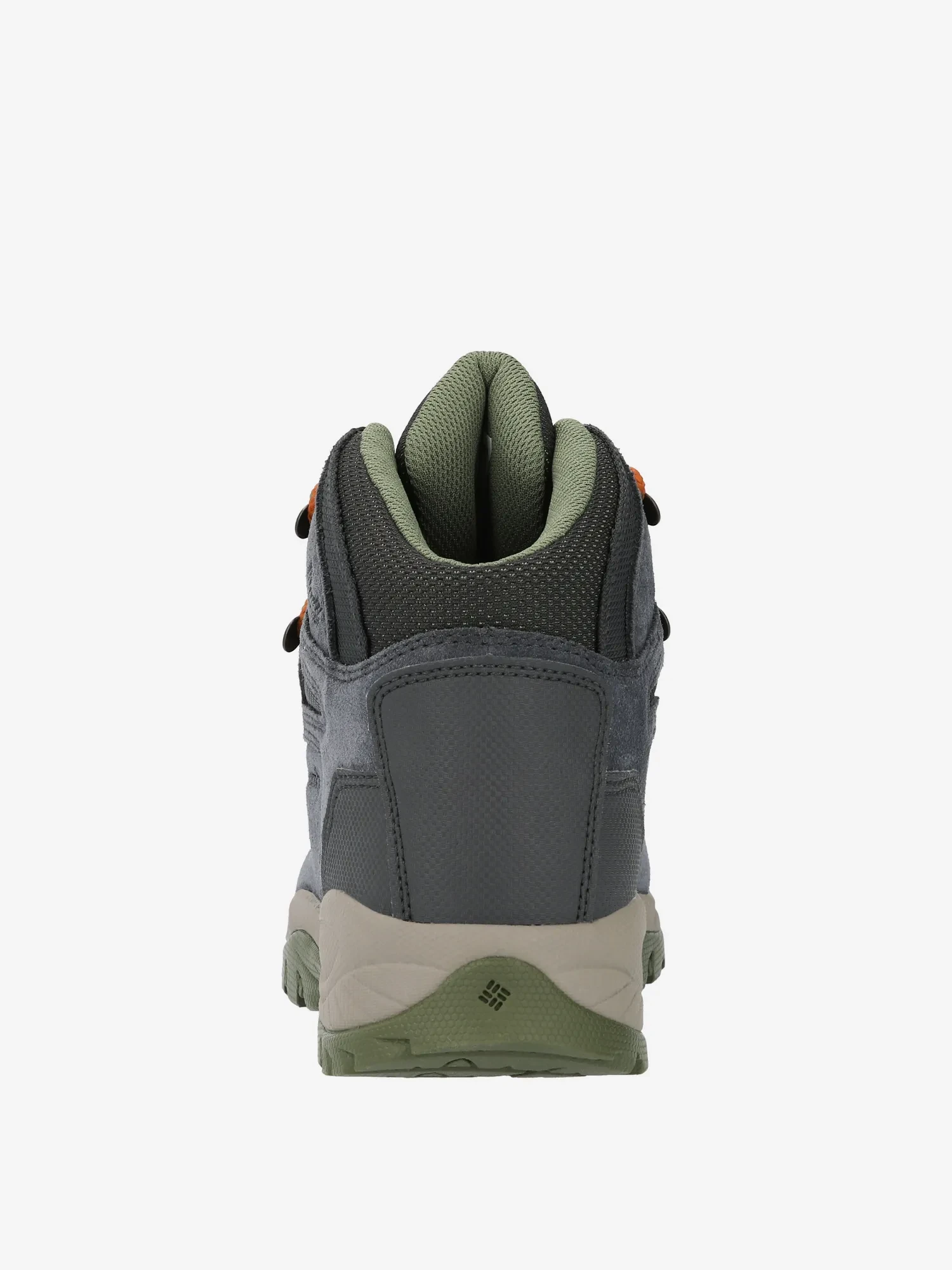 Ботинки женские Columbia Newton Ridge Plus Waterproof Amped