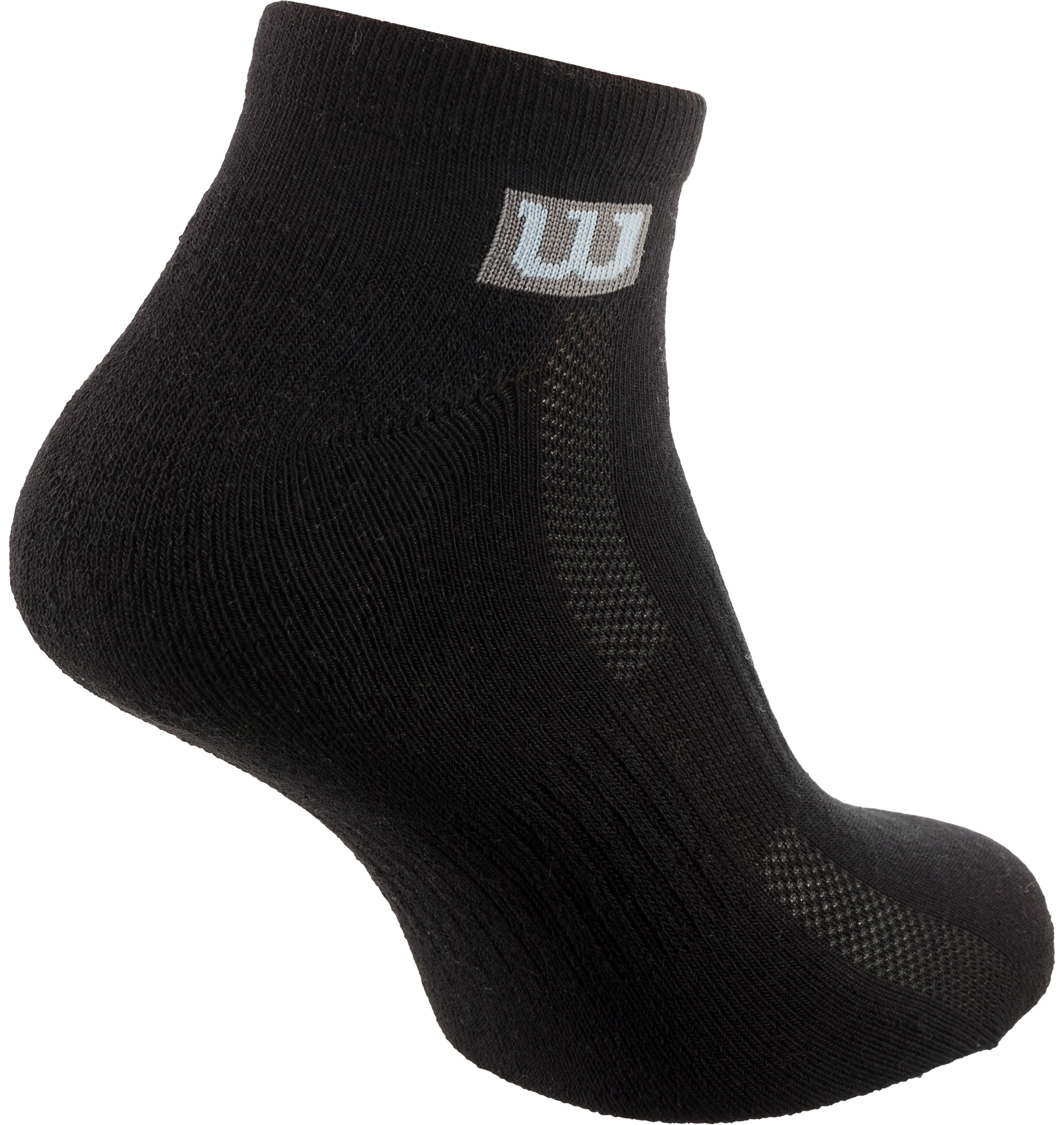 Шкарпетки чоловічі Wilson Premium, 2 пари