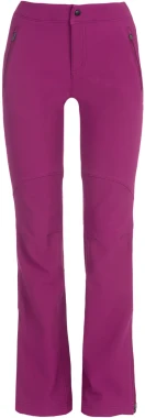 Брюки утепленные женские Columbia Back Beauty Passo Alto Купить в Athletics