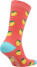 Шкарпетки жіночі Skechers, 1 пара - фото №2