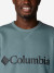 Світшот чоловічий Columbia M Columbia Logo Fleece Crew - фото №4