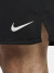 Шорты мужские Nike - фото №6