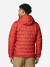 Пуховик чоловічий Columbia Delta Ridge II Down Hooded Jacket - фото №2